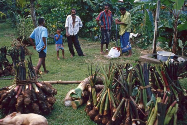 14. Fiji-Kadavu-Kavalla 2001