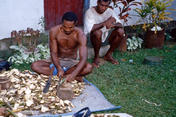 7. Fiji-Kadavu-Kavalla 2001