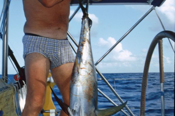 Pazifik zwischen Galapagos und Fatu Hiva: Thunfisch Beute!