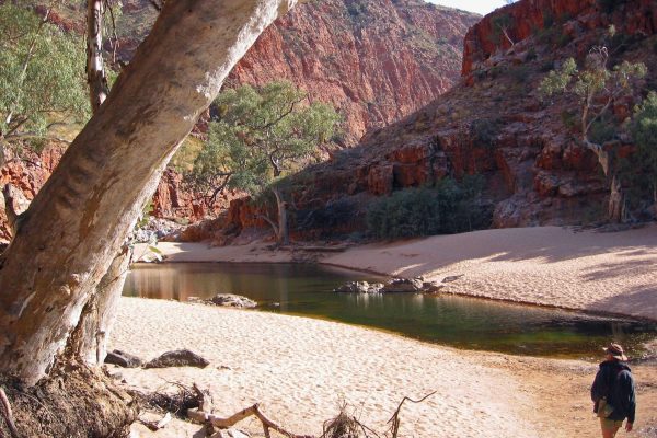MacDonnell-Ranges-013