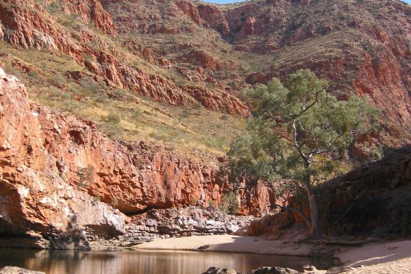 MacDonnell-Ranges-014