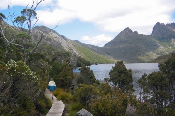Tasmania-Cradle-Mountins2